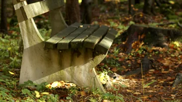 A murit pe banca din fata casei spulberat de o masina