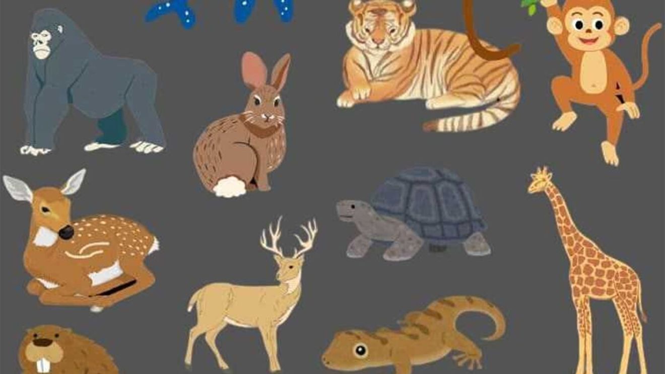 Test de logică exclusiv pentru genii | Care animal este diferit de toate celelalte?