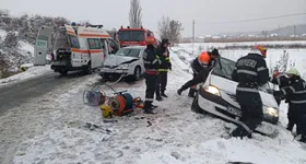 Galerie foto - poza 3