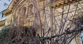 Galerie foto - poza 4