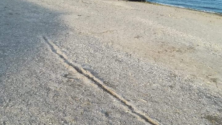 Aroganță de prost gust la Eforie Nord. A intrat cu mașina pe plajă și...