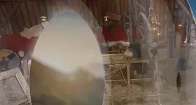 Galerie foto - poza 3