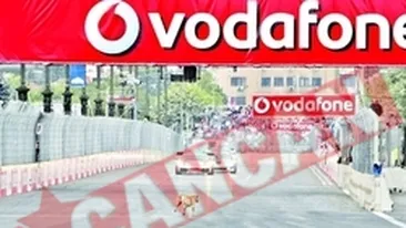 Povestea lui Tiki, maidanezul-vedeta de la Formula 3