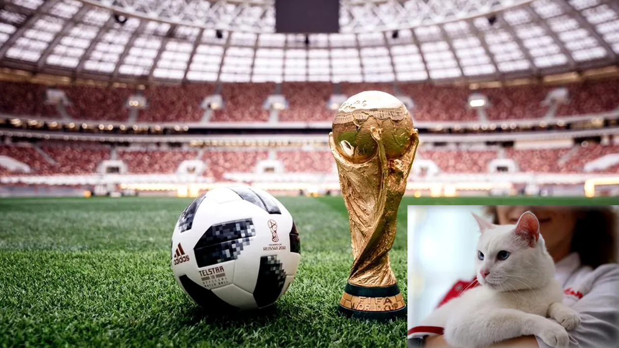 Campionatul Mondial de Fotbal 2018 LIVE. Celebrul motan Ahile a prezis victoria Rusiei în faţa Arabiei Saudite în meciul de deschidere