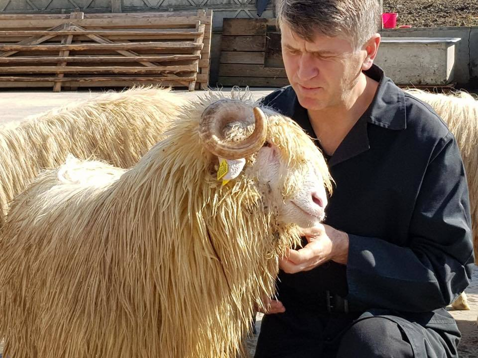 Cu ce se ocupă Cristian Pomohaci după ce a fost exclus din Biserică. Nu, nu este vorba de muzică!