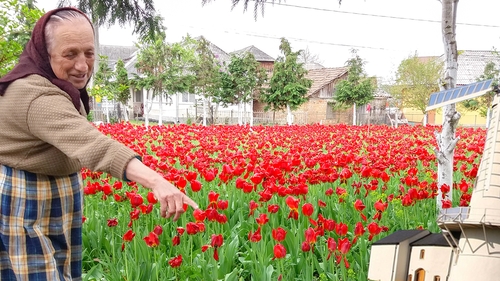 Casa ei a devenit loc de ”pelerinaj”! Ce a apărut în grădina unei maramureșence