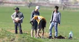 Galerie foto - poza 3