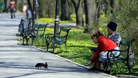 METEO 27 DECEMBRIE: Valorile termice vor marca o crestere fata de ziua precedenta