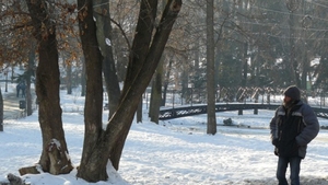 PROGNOZA METEO: Vremea se incalzeste, ajungand la temperaturi mai mari decat ar fi normal in aceasta perioada