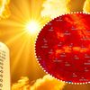 Prognoza meteo azi, 20 august 2026. Val de căldură peste România! Unde se vor atinge 39 de grade și ce se întâmplă în București