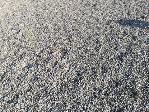 Uluitor cum arată celebrul stadion unde Mirel Rădoi a fost amenințat cu moartea: ”Fugiți…”