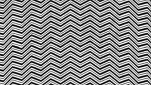 Test IQ pentru genii | Aveți 5 secunde să găsiți animalul ascuns în poză