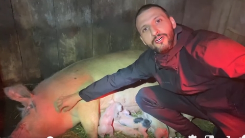 Ștefan Mandachi: ”Sărbătoresc ca un purcel!”