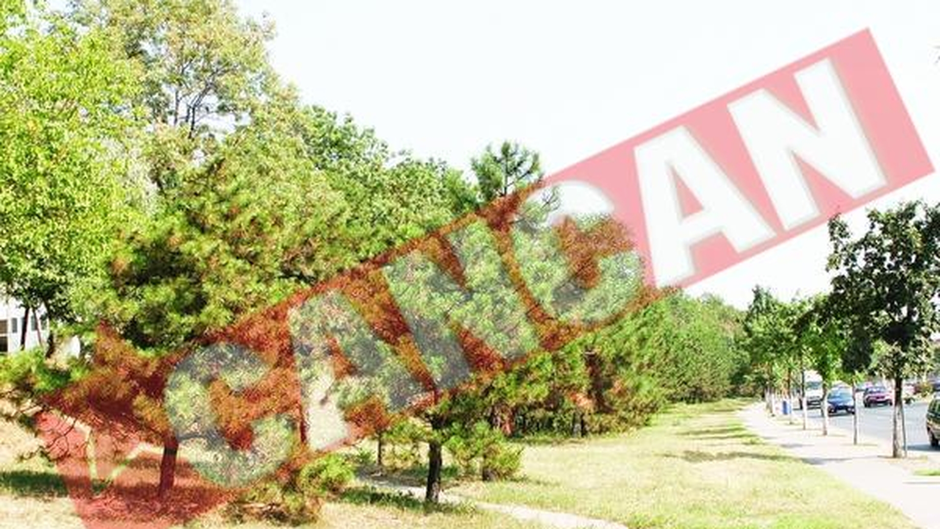 Vor sa faca blocuri turn pe 8.000 de mp de spatiu verde