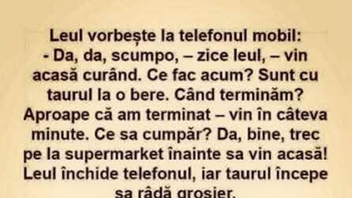 Bancul de weekend | Leul și taurul