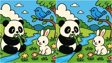 Test de perspicacitate | Aceste două imagini par identice, dar nu sunt. Găsiți 3 diferențe în 15 de secunde