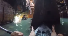 Galerie foto - poza 2