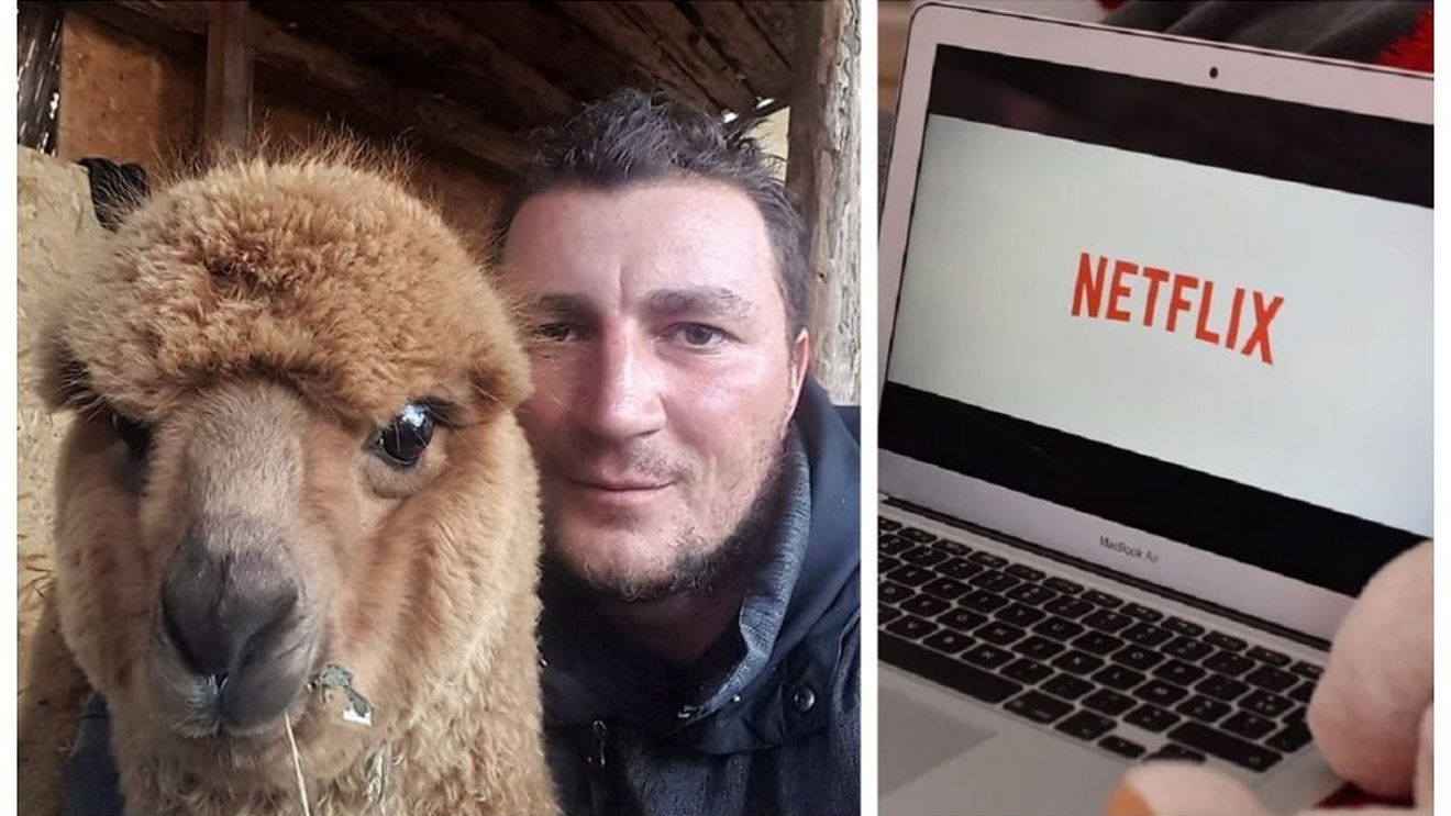 Lansare cu urare, de la Netflix! Cum s-a folosit colindul „Florile Dalbe”, în promovarea unui serial și cum a devenit alpaca lui Godină vedetă