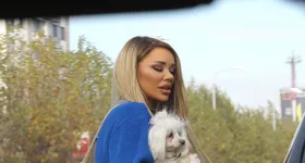 Galerie foto - poza 4