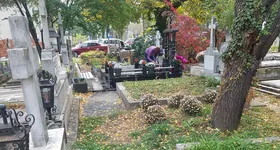 Galerie foto - poza 4