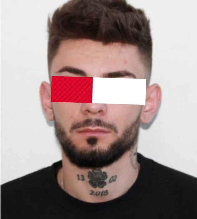 Vlad Bălțățeanu urmează să fie extrădat și predat autorităților din România