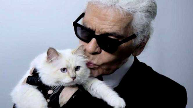 Este de necrezut! Cine va moșteni averea de 250 de milioane de dolari a lui Karl Lagerfeld