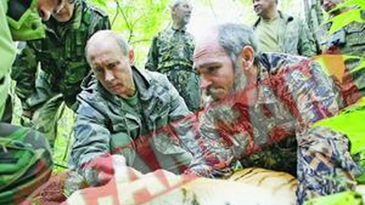 Putin s-a luptat cu un tigru