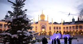 Galerie foto - poza 2