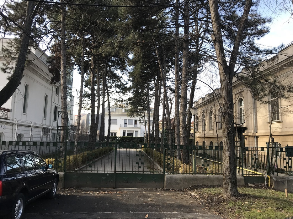 Proprietatea deţinută în Kiseleff de Lucia Cherecheş este cu adevărat impresionantă