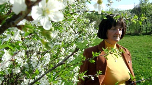 Caz cutremurător în Cluj. O mamă i-a invitat la nunta fiicei pe cei care au primit organele fiului ei mort