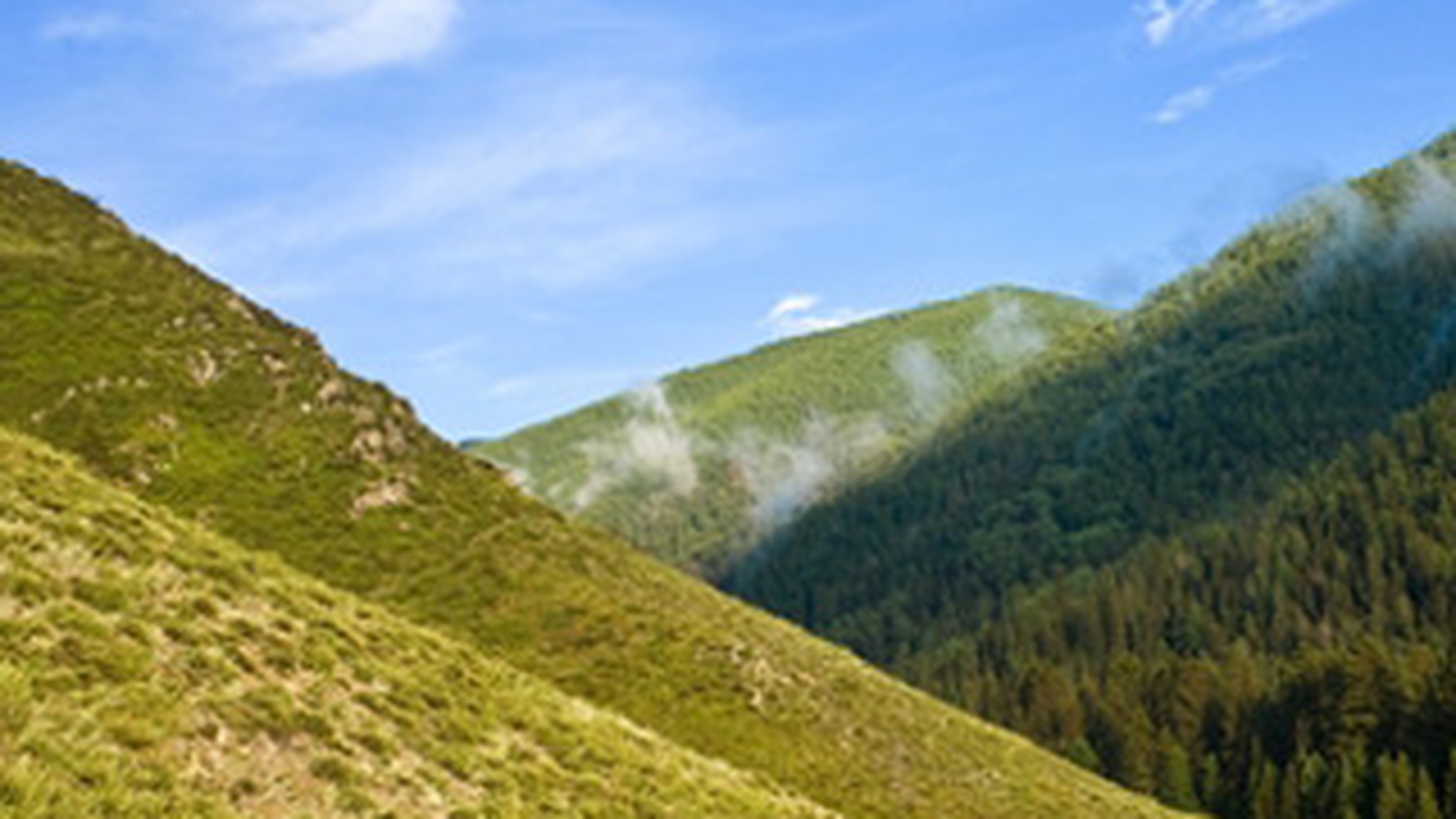 Doi batrani, raniti dupa ce s-au prabusit cu masina in rapa!