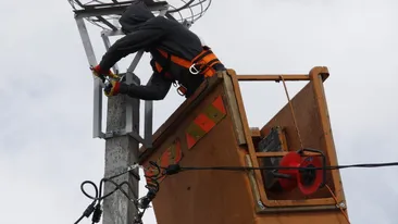 Intervenție de amploare pentru relocarea unui cuib de barză! Înaripatele „s-au mutat” în casă nouă