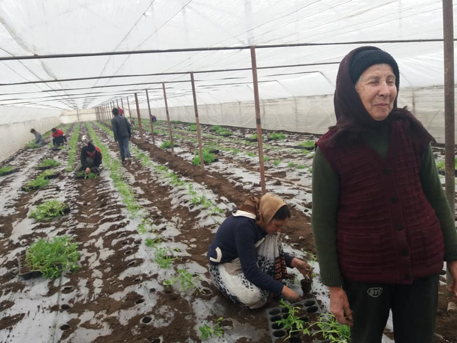 Tanti Elena muncește în solar de la 12 ani