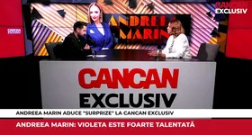 Galerie foto - poza 3