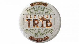 Ele sunt vedetele care participă la show-ul ”Ultimul trib”de la Antena 1