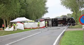 Galerie foto - poza 4