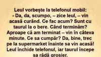 Bancul de weekend | Leul și taurul