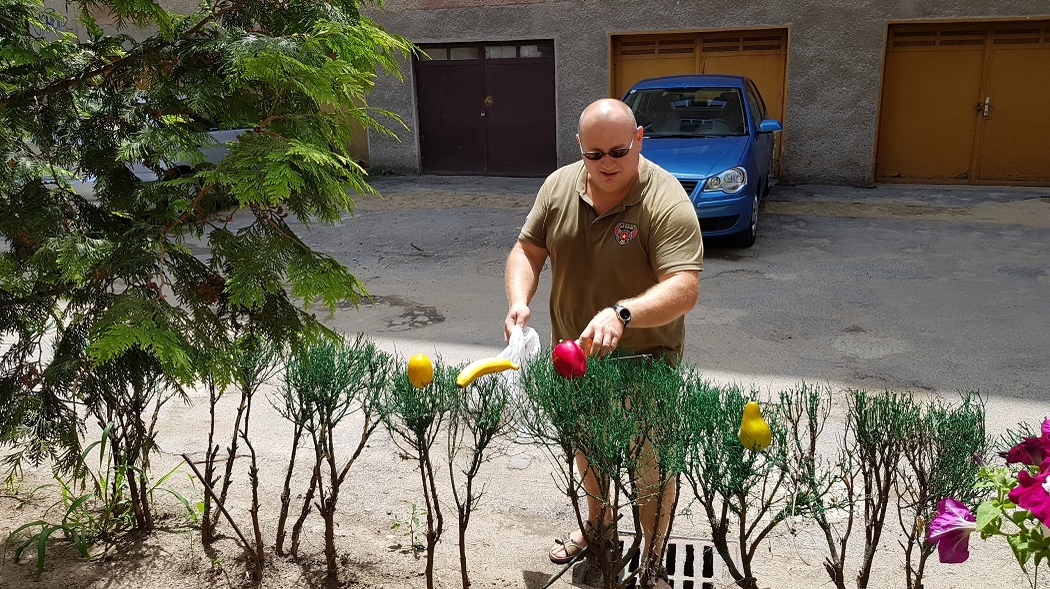 Trecătorii au "plantat" fructe în gardul vopsit