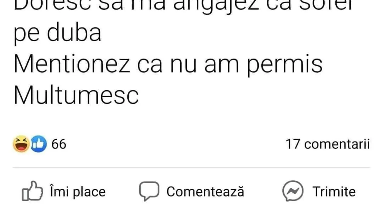 Cel mai tare anunț: „Salutare. Doresc să mă angajez pe dubă. Menționez că nu am permis.”. Ce răspuns a primit