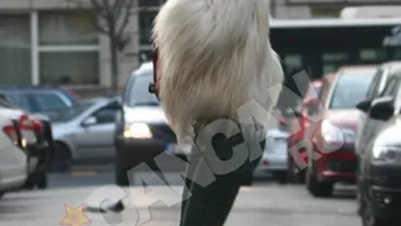 Inconstienta maxima! Andreea Raicu, cocotata pe tocuri de 10 centimetri dupa ce a stat zile intregi la pat din cauza herniei de disc