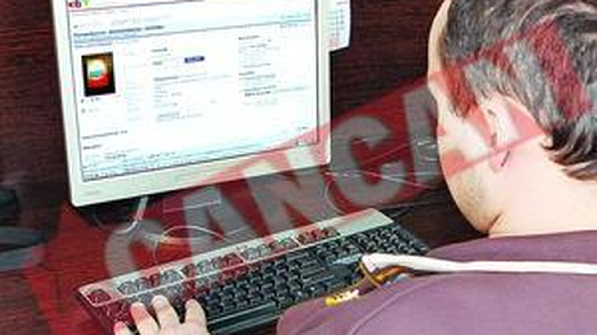 Primarie din Valcea scoasa la vanzare pe ebay