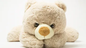 Unde a putut să se ascundă un tânăr căutat pentru furt. Locul incredibil în care a ajuns bărbatul