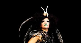 Galerie foto - poza 1