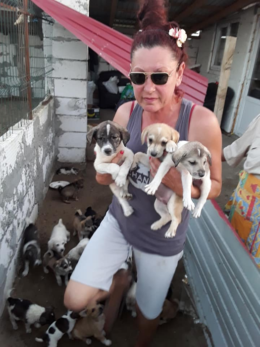 Daniela Popovici a anunțat că vrea să preia animalele din curtea  presupusului criminal