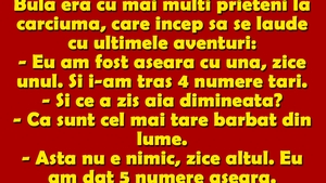 BANC | Bulă era cu mai mulți prieteni la cârciumă, care încep să se laude cu ultimele aventuri