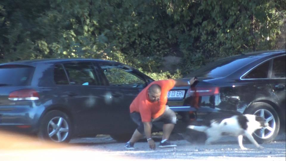 Verii lui Leo s-au rugat pentru pedepsirea agresorilor