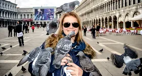 Galerie foto - poza 2