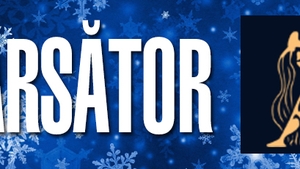 HOROSCOP 2017 IUBIRE - VĂRSĂTOR