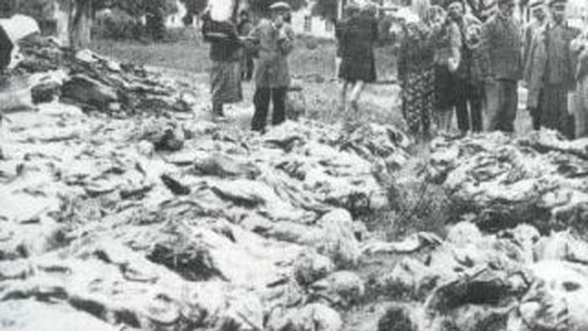 Potrivit unui sondaj, o treime dintre rusi au aflat de masacrul de la Katyn abia dupa tragedia aviatica de la Smolensk