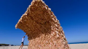 Pare o creatura ciudata care iese din nisip insa nu este deloc asa! Iti poti da seama ce ascunde aceasta poza?